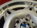 OEM BMW 17" Style 24 Wheels