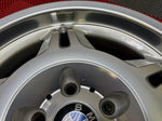 OEM BMW 17" Style 24 Wheels