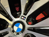 OEM 22" BMW Style 742M Wheels w/Tires